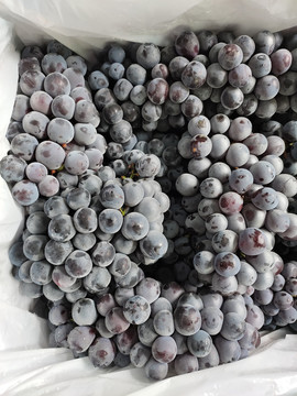 冰莓葡萄
