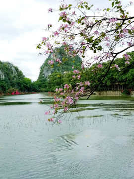 肇庆星湖美景