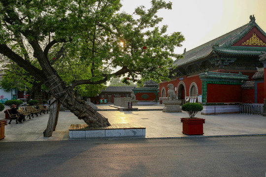 隆兴寺