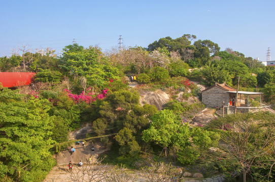 大坪山风光