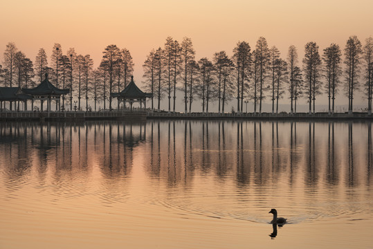 中国湖北武汉东湖碧潭观鱼风景区