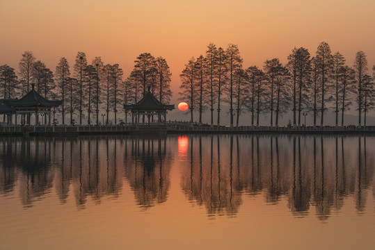 中国湖北武汉东湖碧潭观鱼风景区