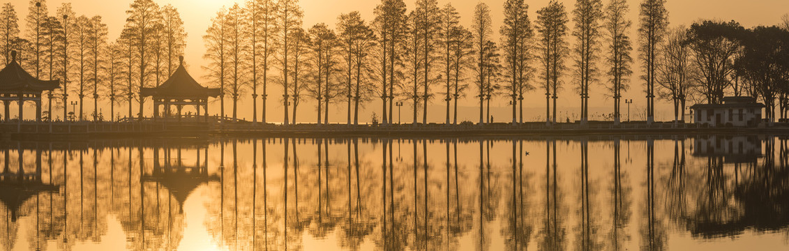 中国湖北武汉东湖碧潭观鱼风景区