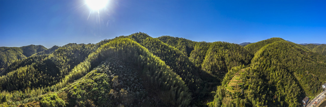 宽幅大山竹海蓝天摄影图