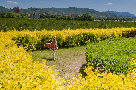 城市园林设计