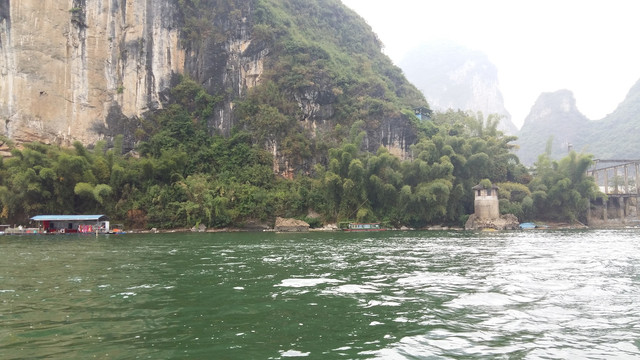 桂林山水植物