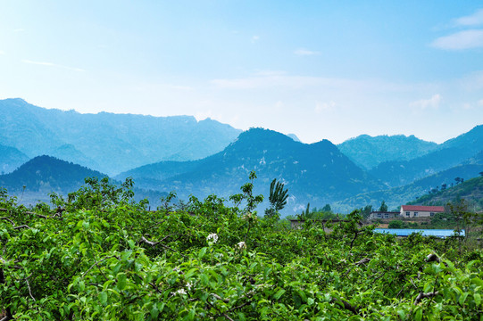 蒙山山脉