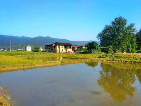 乡村河畔风景