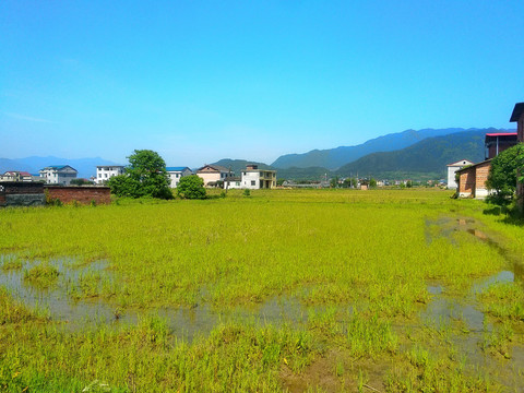 乡村风景