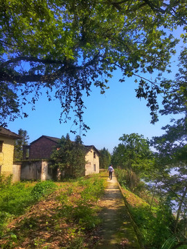 乡村风景