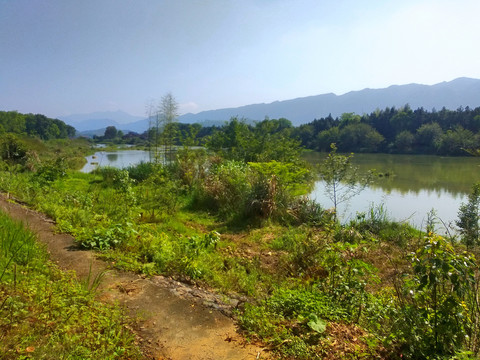 乡村河畔风景