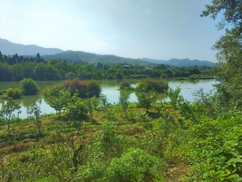 乡村河畔风景