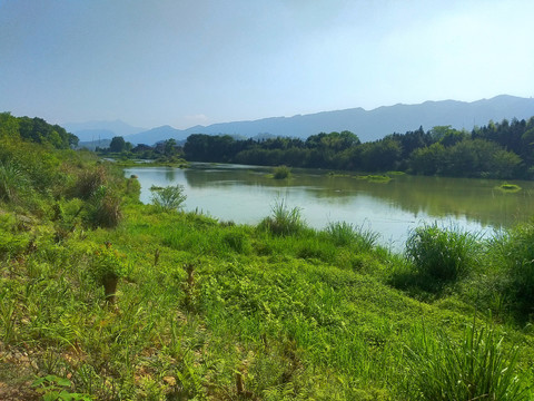 乡村河畔风景