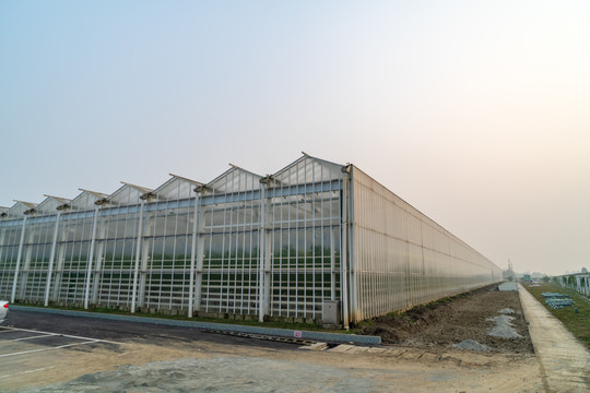 智慧农业蔬菜基地