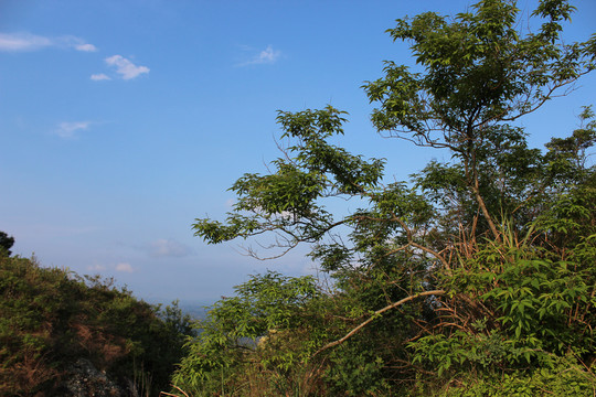 河源龙川霍山