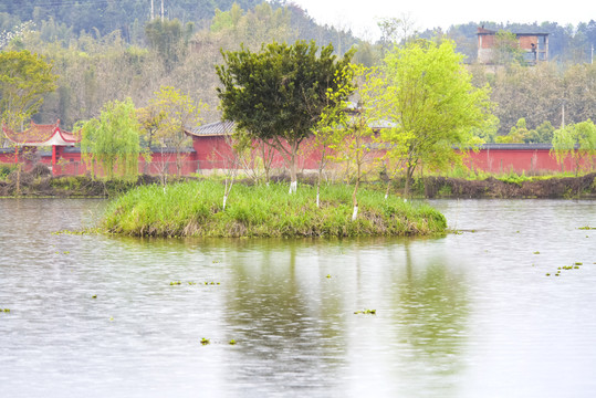 雨中寺庙