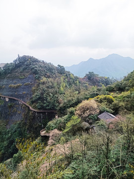 湖南崀山5A景区