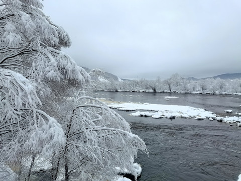 春天的雪挂