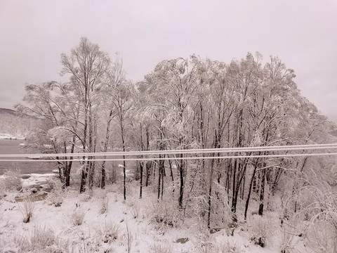 春天的雪挂