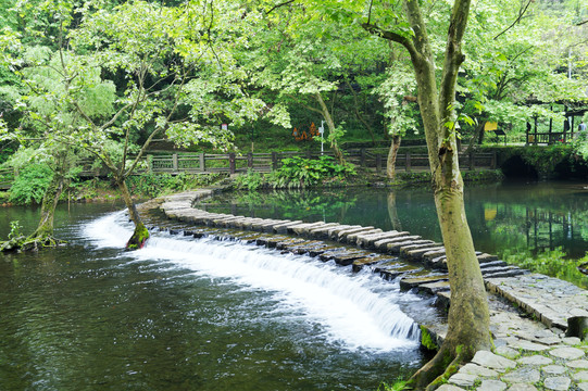 贵阳小车河湿地公园