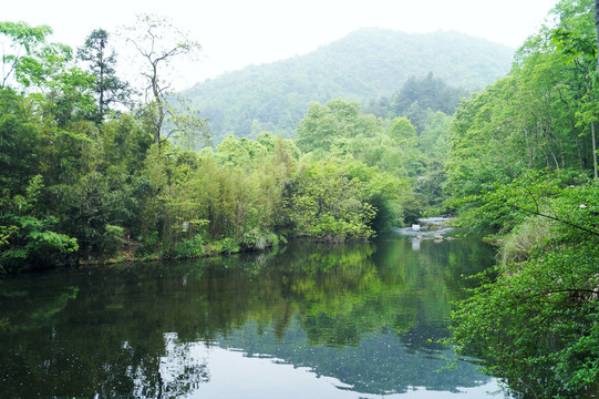 贵阳小车河湿地公园