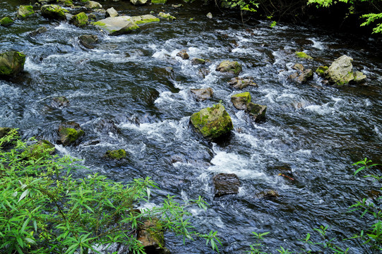 贵阳小车河湿地公园