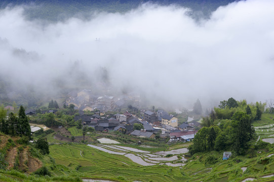 浙江丽水云和梯田