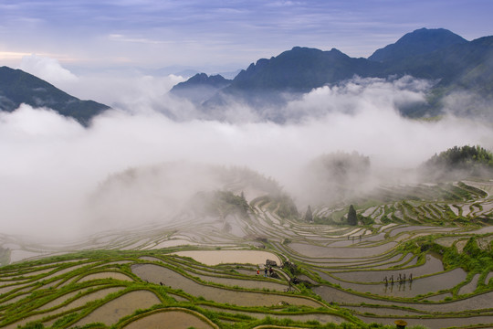 浙江丽水云和梯田