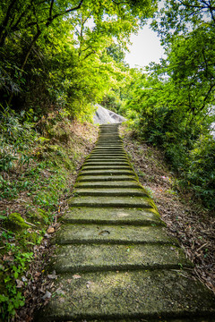 山间小路