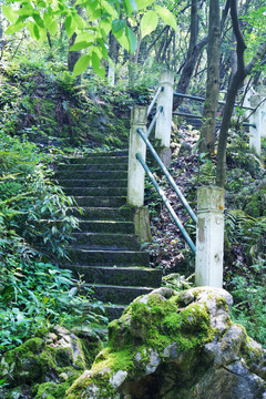 登山道