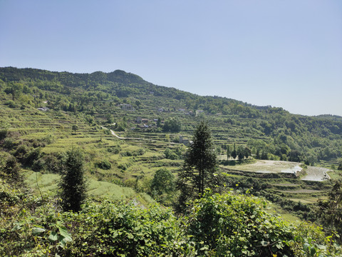 龙凤梯田