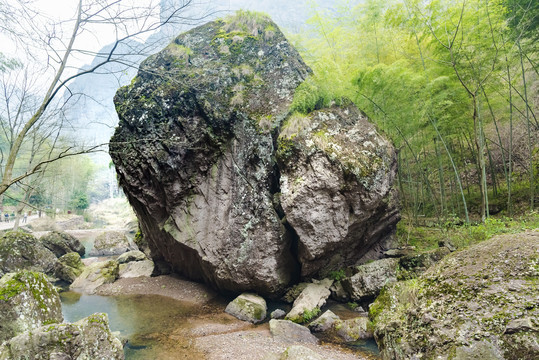 新昌穿岩十九峰景区竹园竹林岩石