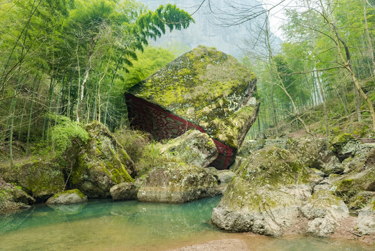 新昌穿岩十九峰景区竹园竹林小溪