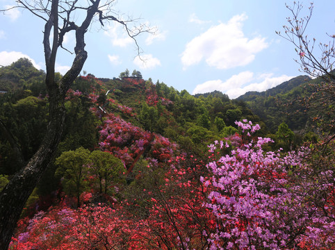 安徽岳西天峡景区