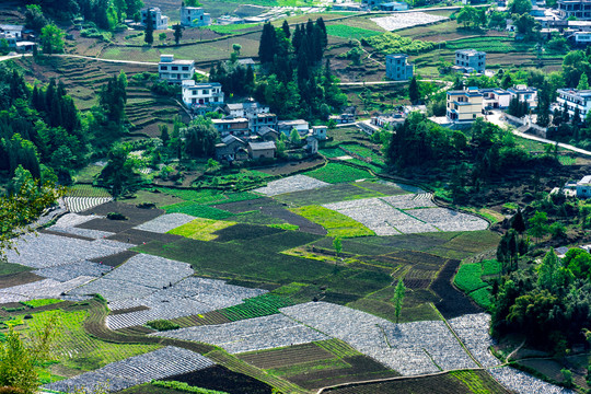 山村