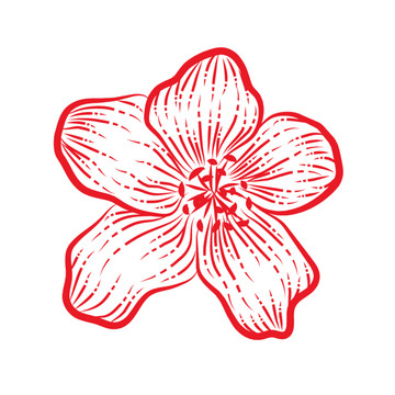 花朵手繪矢量