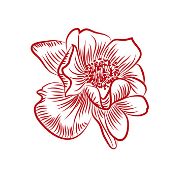 手繪花矢量