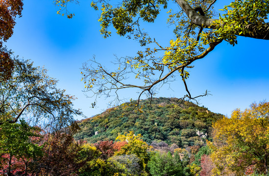 苏州天平山秋色景观