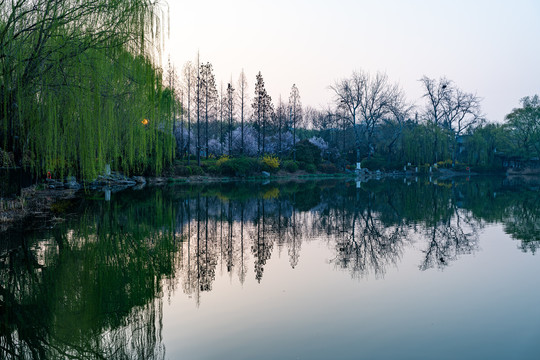 山东济南大明湖春天