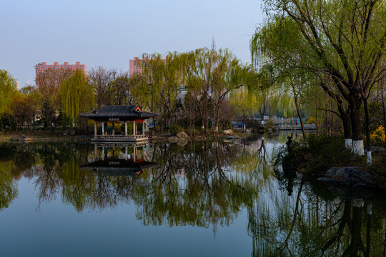 济南大明湖春天