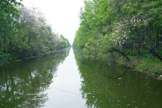 春意小河