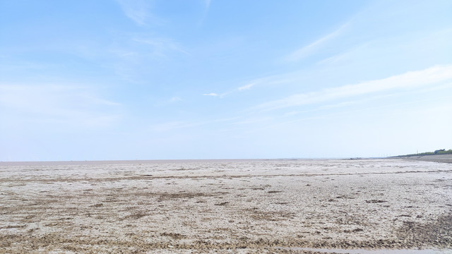 黄海边滩涂