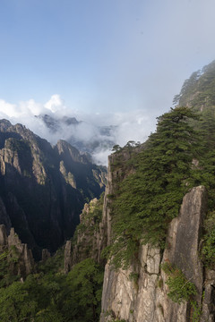 黄山风光