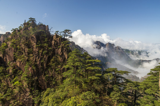 黄山风光