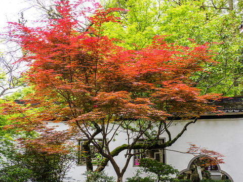 嘉兴南湖景区