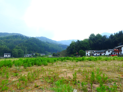 仙姑坛风景永坪村