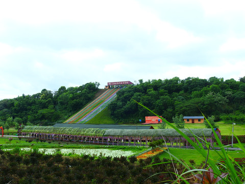 庐山西海花千骨