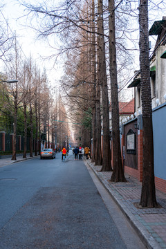 上海甜爱路街景