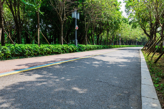 顺峰山公园健身步道