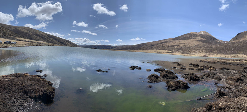 莲宝叶则风景